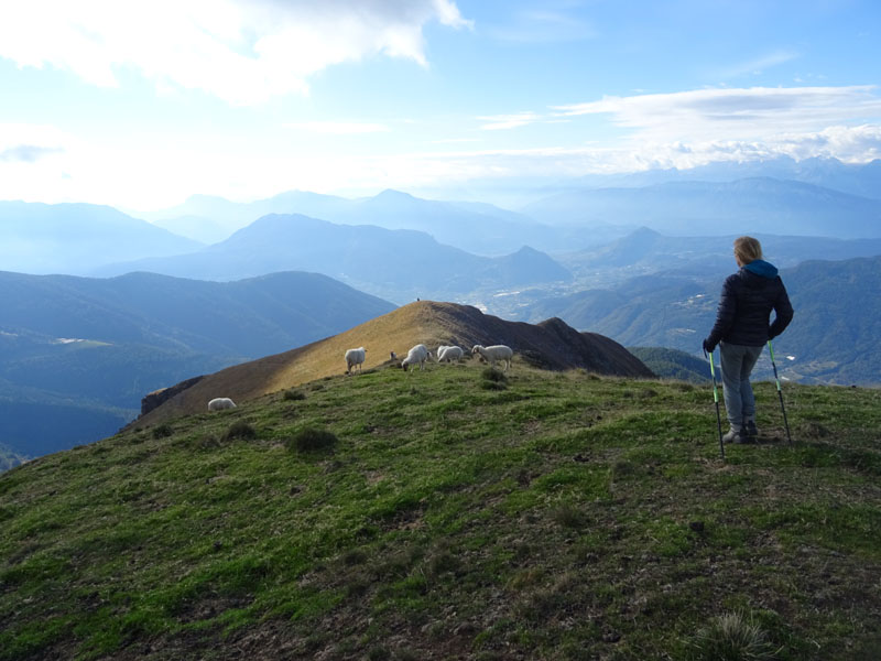 Catena dei Lagorai...da Pergine al Passo del Manghen